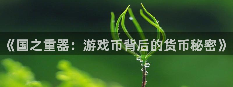 四川db电竞科技有限公司怎么样：《国之重器：游戏币背后的货币秘密》