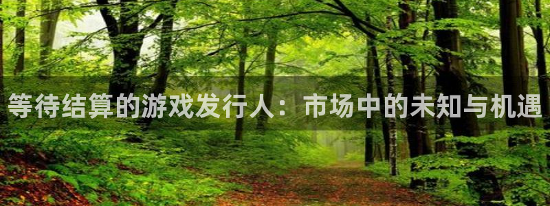 db电竞啤酒怎么样：等待结算的游戏发行人：市场中的未知与机遇