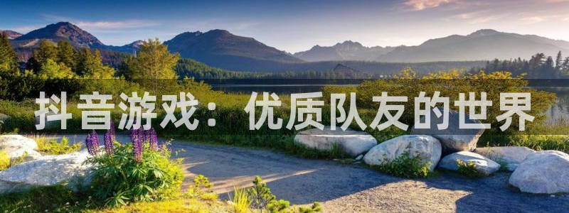 db电竞官网注册平台登录入口：抖音游戏：优质队友的世界