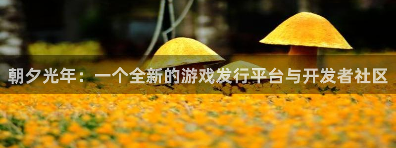 db电竞电子商务：朝夕光年：一个全新的游戏发行平台与开发者社区