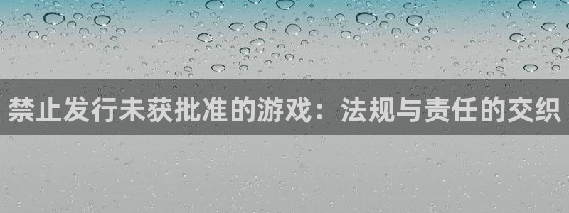 db电竞子年度最佳图书：禁止发行未获批准的游戏：法规与责任的交织
