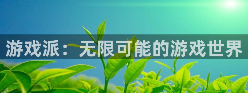 db电竞官网登录注册账号安全吗：游戏派：无限可能的游戏世界