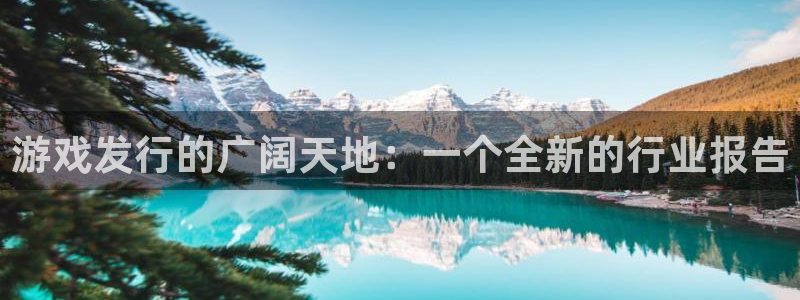 db电竞官网登录注册账号密码：游戏发行的广阔天地：一个全新的行业报告