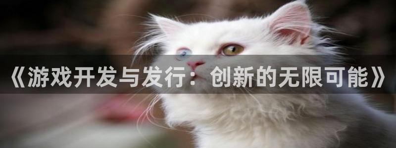 db电竞科技股票
