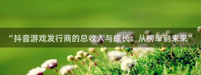 db电竞官网登录注册失败：“抖音游戏发行商的总收入与成长：从榜单到未来”