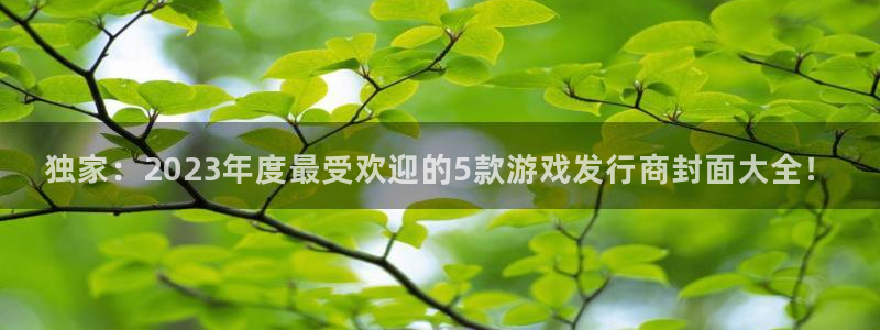 db电竞龙：独家：2023年度最受欢迎的5款游戏发行商封面大全！