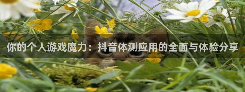 db电竞集团是什么企业：你的个人游戏魔力：抖音体测应用的全面与体验分享