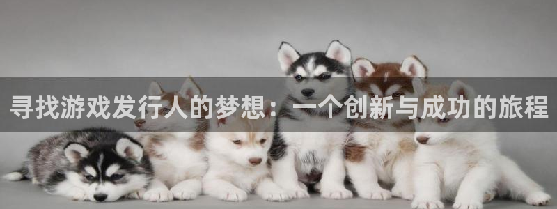 db电竞官网注册平台登录入口：寻找游戏发行人的梦想：一个创新与成功的旅程