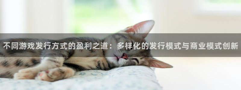 广东db电竞电子科技有限公司