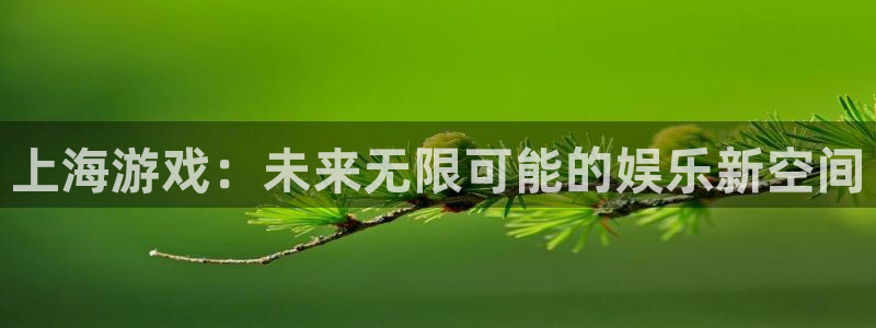 苏州db电竞网络科技有限公司