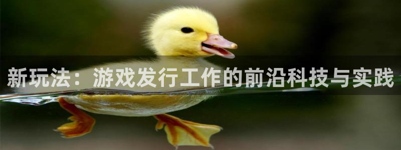 db电竞啤酒怎么样