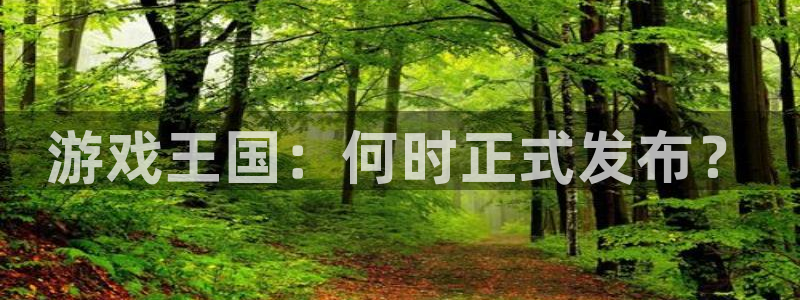 db电竞官网解绑银行卡怎么弄：游戏王国：何时正式发布？
