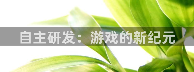 江苏db电竞智得新材料：自主研发：游戏的新纪元