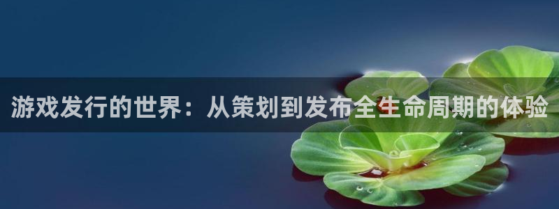 db电竞子出版社董事长