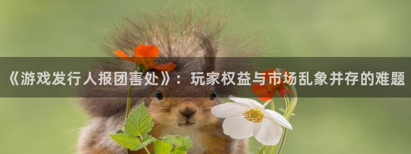 db电竞子集团：《游戏发行人报团害处》：玩家权益与市场乱象并存的难题