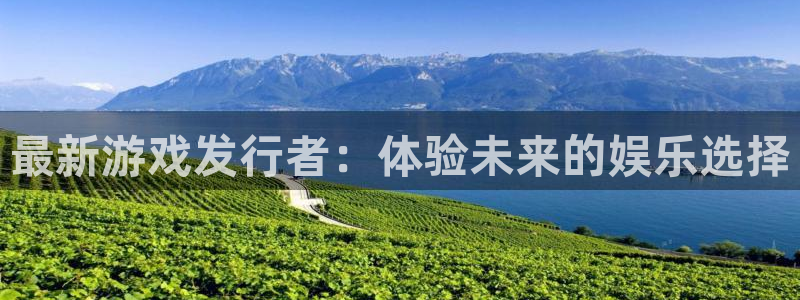 db电竞电子商务有限公司招聘